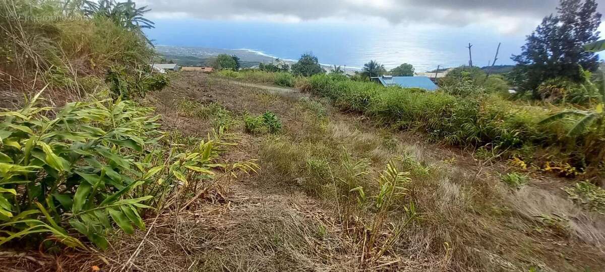Terrain à SAINT-LEU