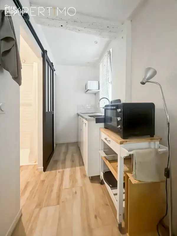 Studio rénové dans le quartier prisé des Beaux-Arts / Boutonnet - photo 2