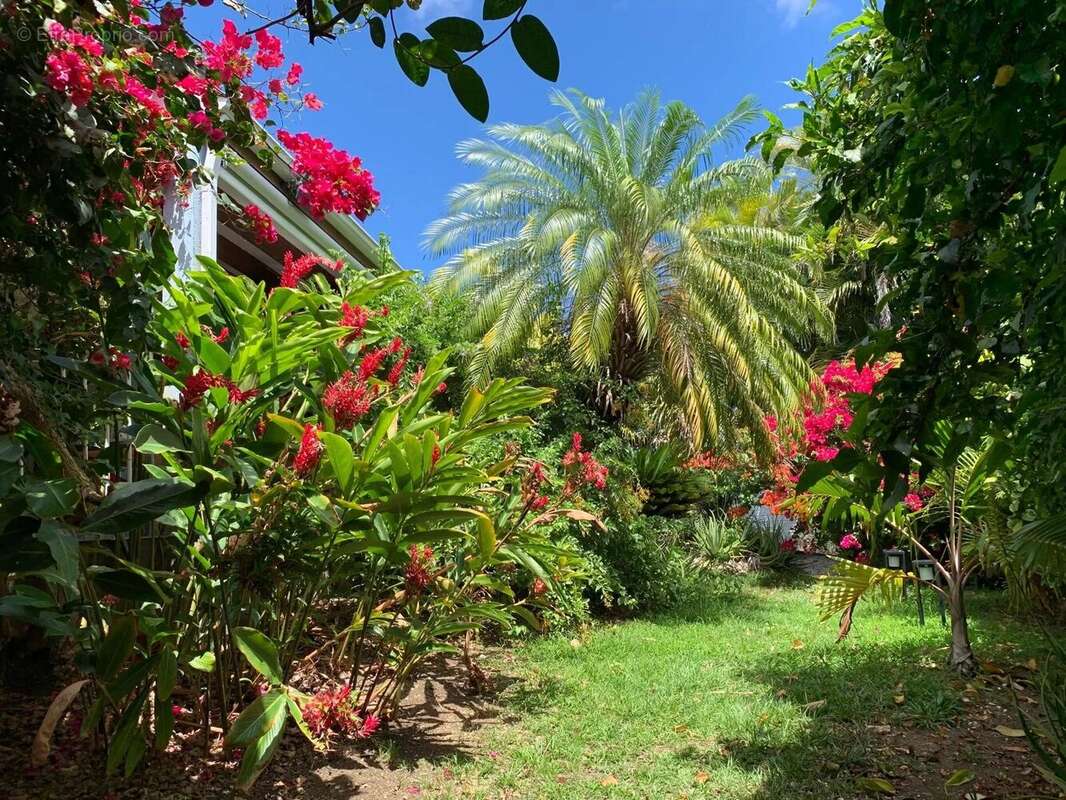 Maison à SAINT-FRANCOIS