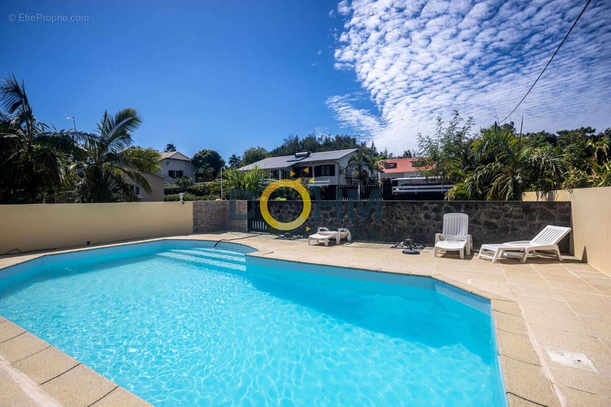ENSEMBLE IMMOBILIER 2 chalets F3 et 2 studios sur 1850m2 de terrain avec piscine - photo 7