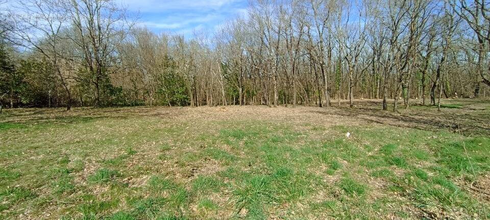 Terrain à MONDONVILLE