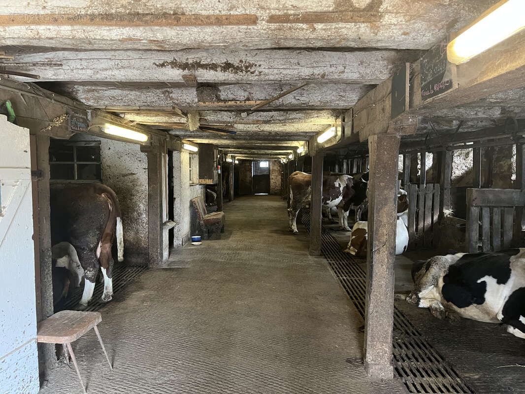 Maison à CHALVIGNAC