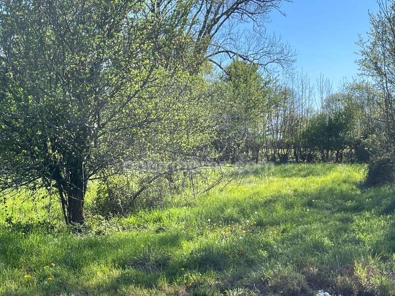 Maison à LA SOUTERRAINE