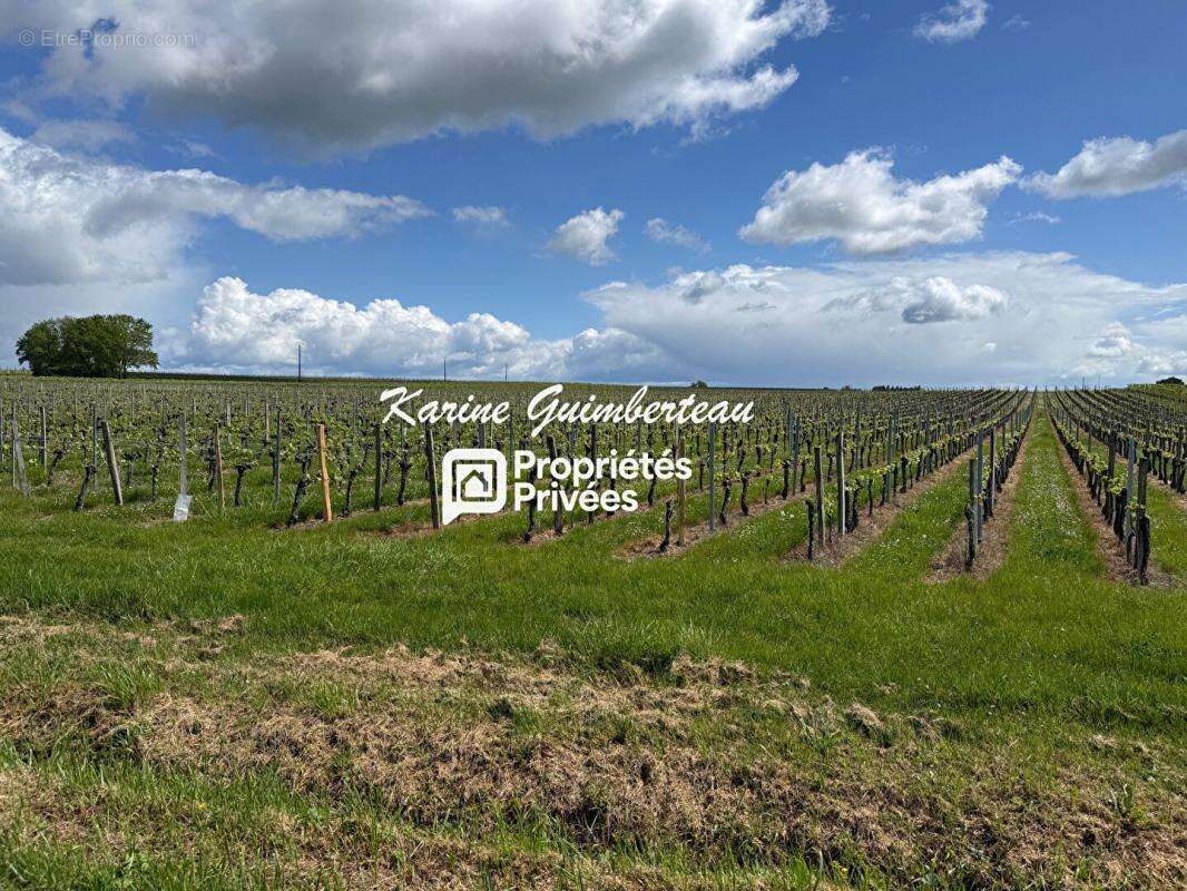Terrain constructible 1077 m2 - Lussac - photo 5