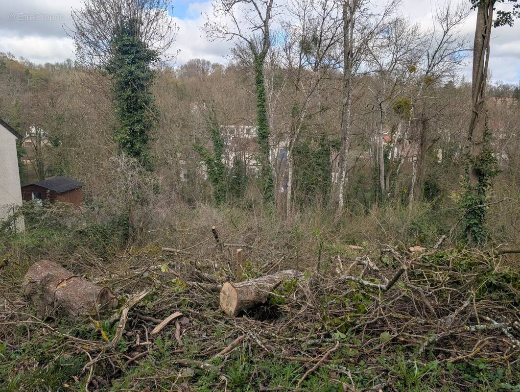 Terrain à FONTAINE-LE-PORT