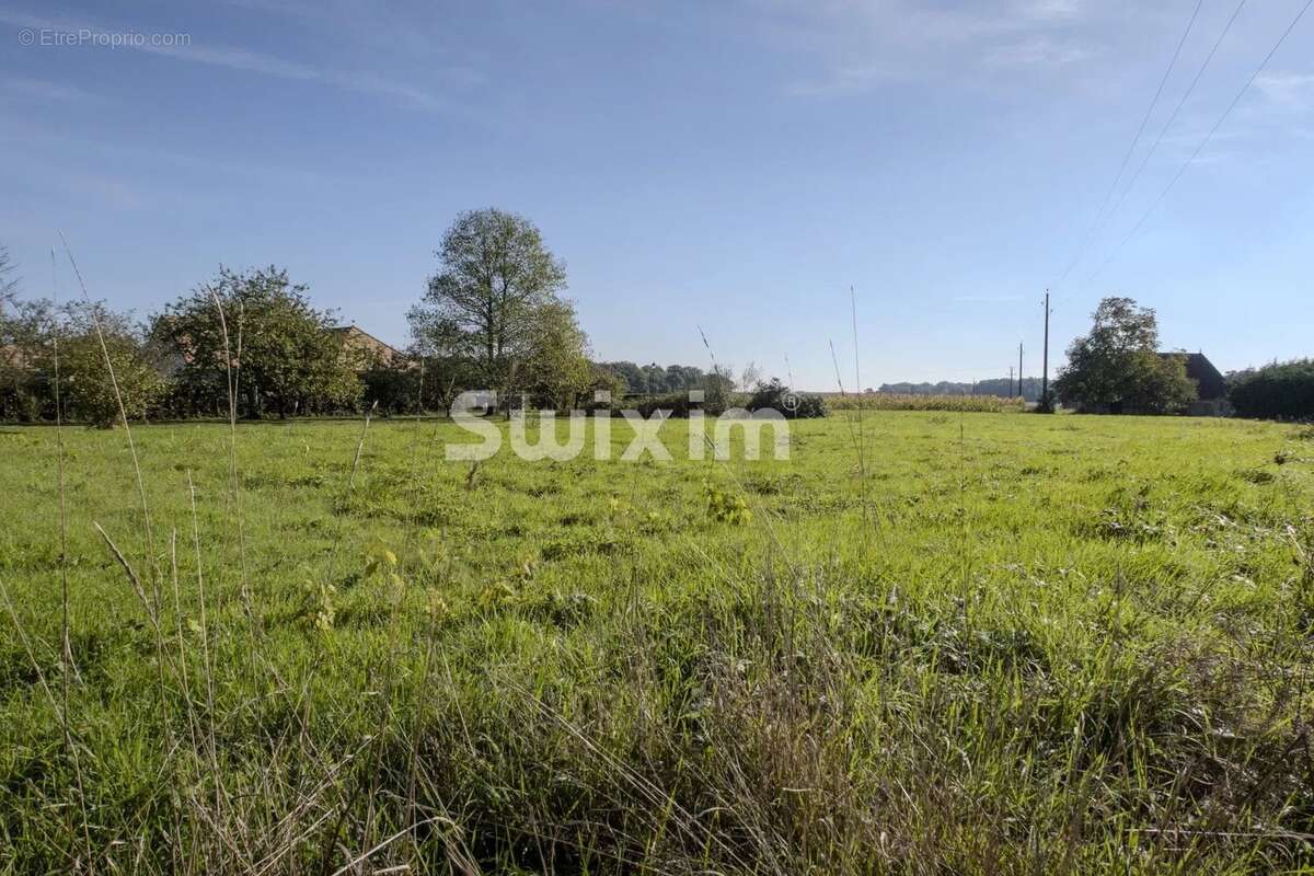 Terrain à SAINT-DIDIER-EN-BRESSE