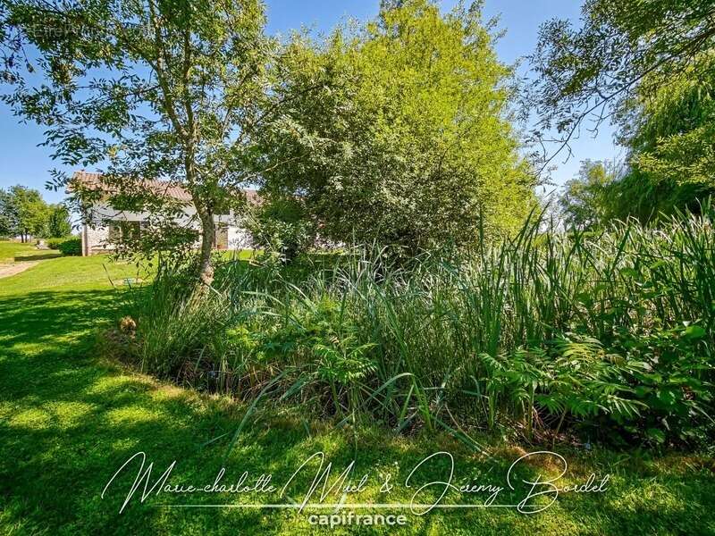 Longère de caractère avec parc arboré - photo 28
