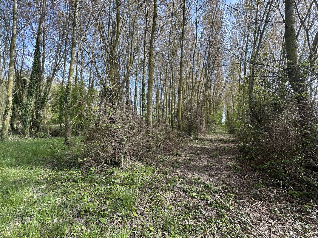 Terrain à CAYEUX-SUR-MER