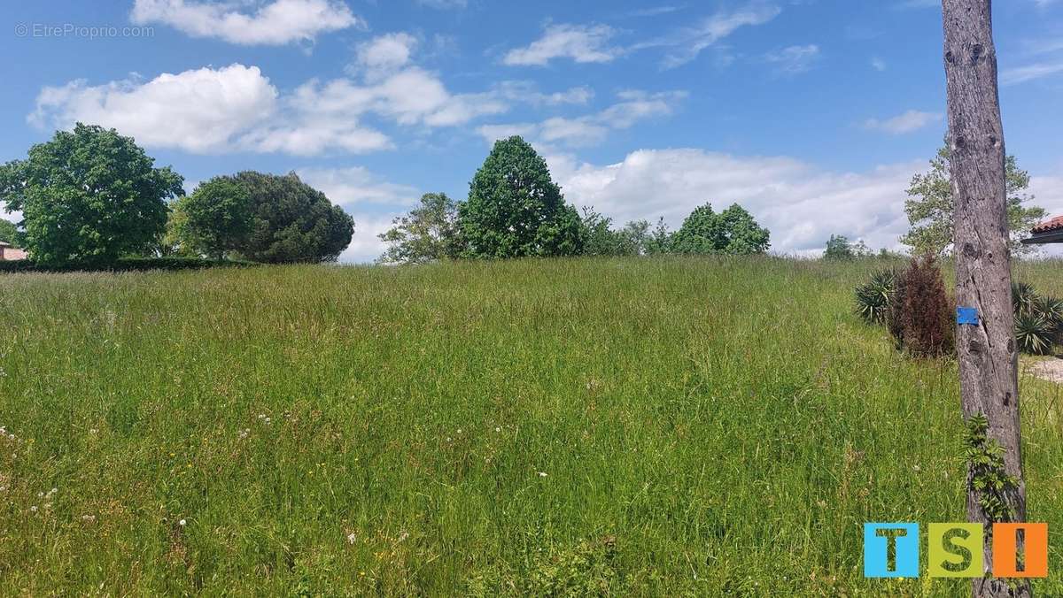 Terrain à CIADOUX
