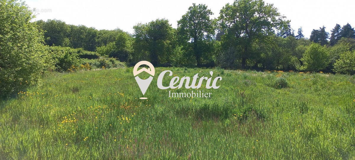 Terrain à BRESSUIRE