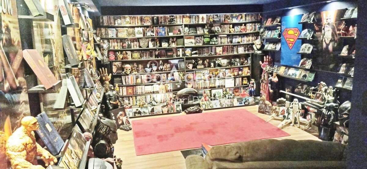 Maison à FERRIERES-EN-GATINAIS