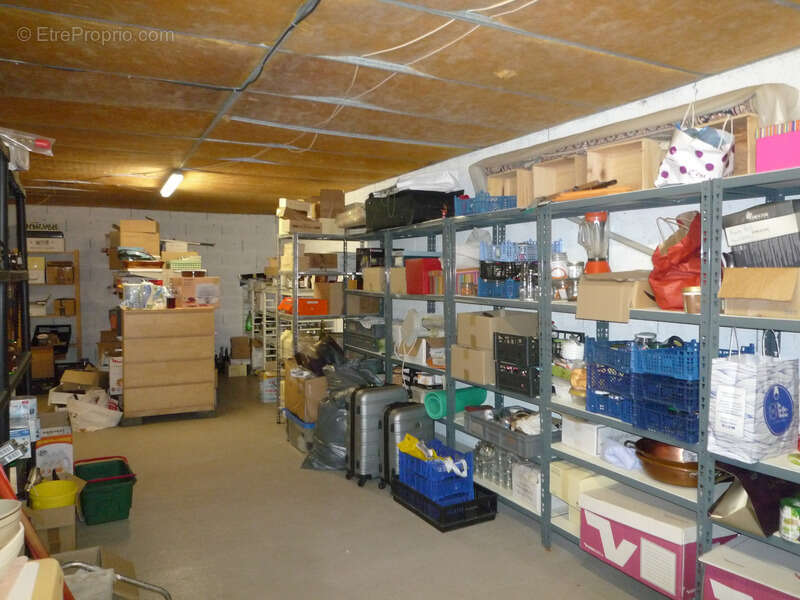 MONTDAUPHIN (77) à vendre ensemble immobilier composé de deux maisons, de 2 bâtiments industriels sur un terrain de  de 2 hectar - photo 28