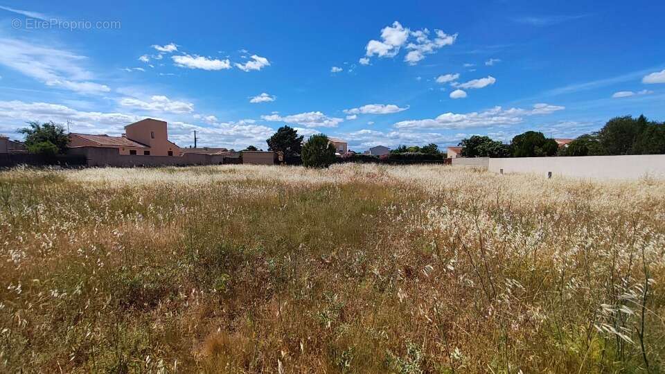 Terrain 636 m² à Saint-Nazaire-D'aude  - photo 4