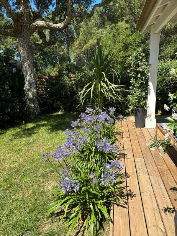 Maison Capbreton 3 pièce(s) 60 m2 - photo 4