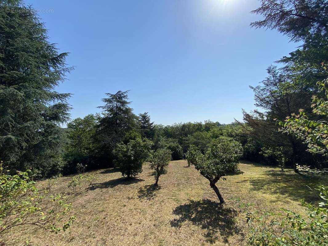 Photo 6 - Terrain à CHARBONNIERES-LES-BAINS