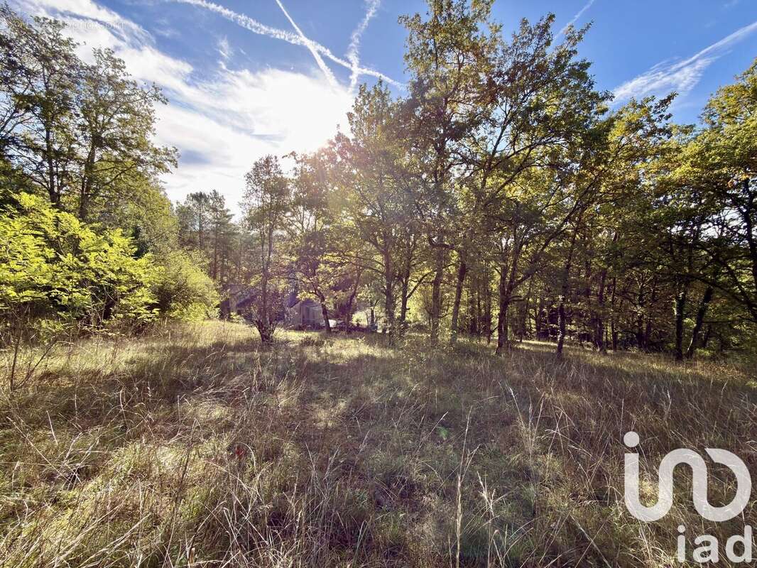 Photo 6 - Maison à AUBAS