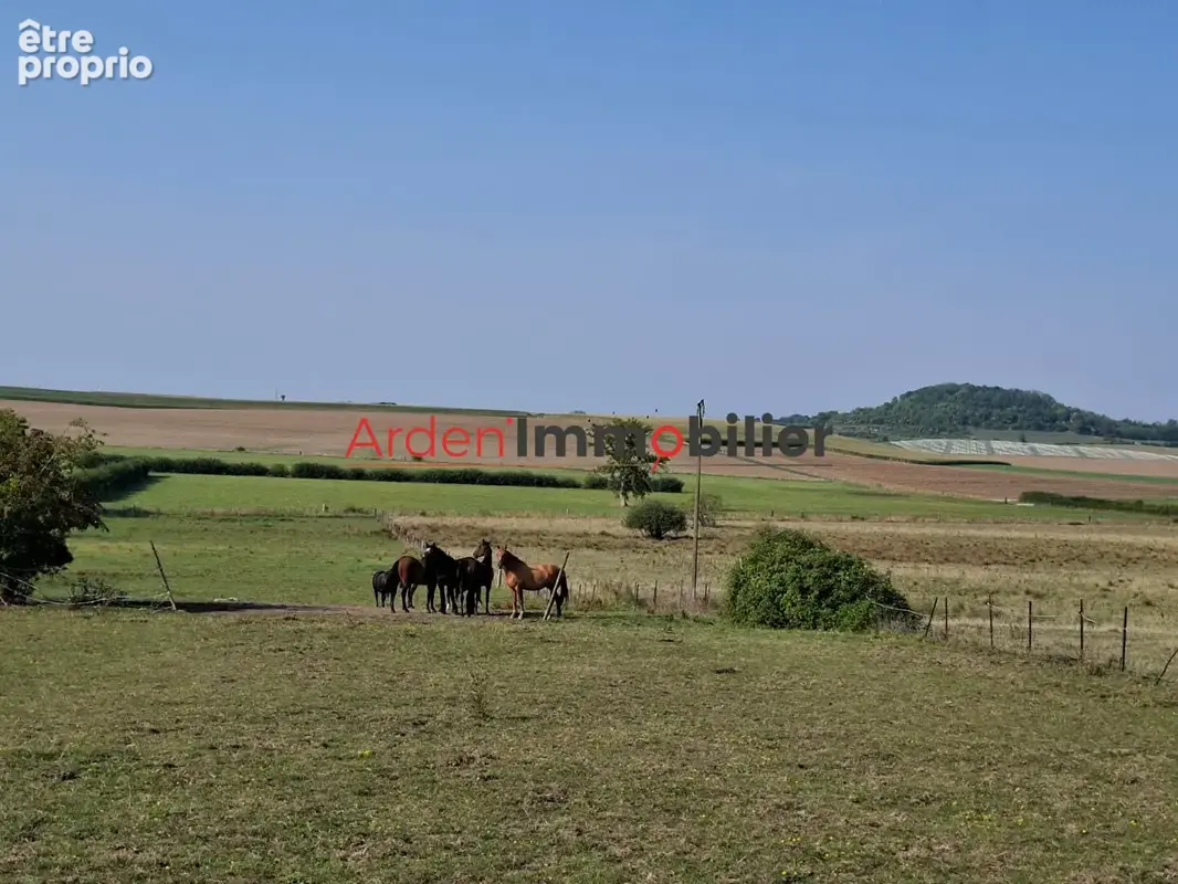 Propriete equestre - photo 7
