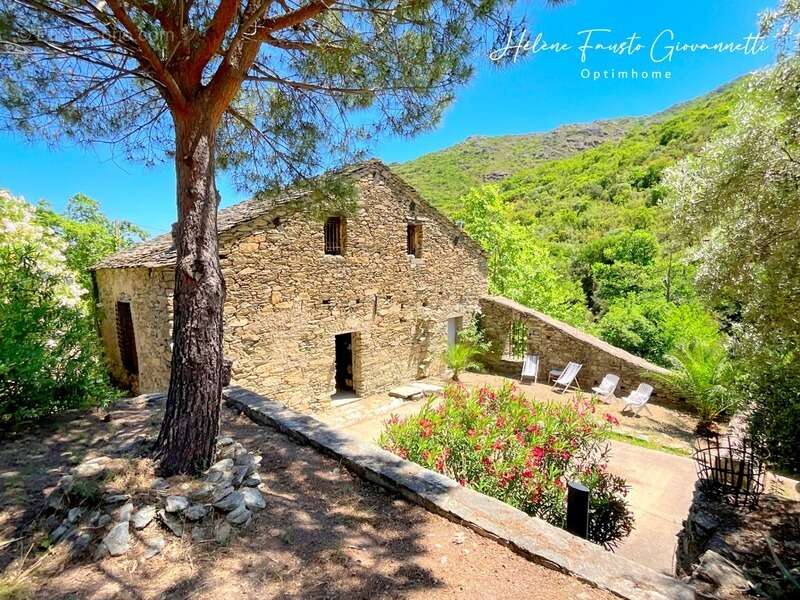 Ancien Moulin en Pierre avec dépendances sur près de 2,3 hectares – Santo-Pietro-di-Tenda - photo 4