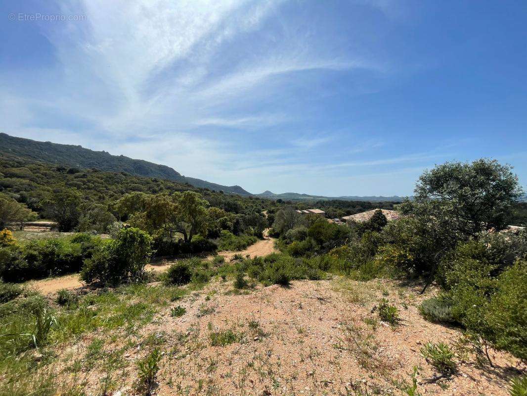 Terrain à FIGARI