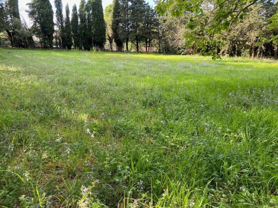 Terrain 802 m² à Grillon  - photo 5
