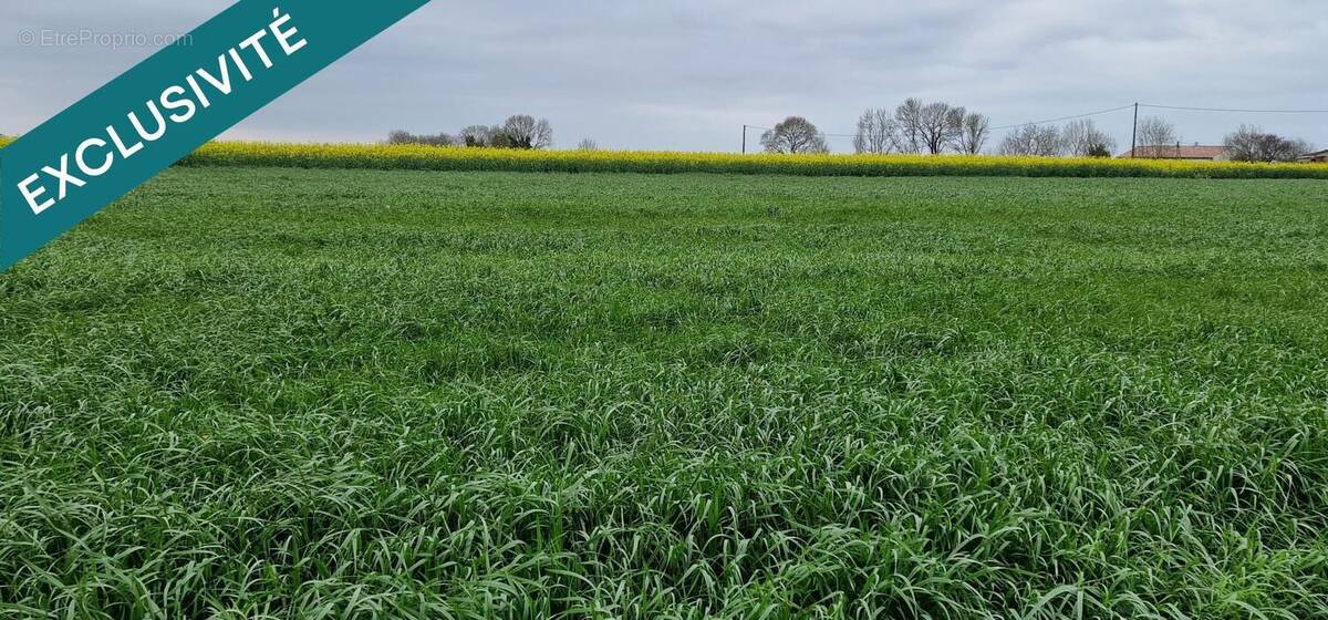 Photo 1 - Terrain à SAINT-ROMAIN-DE-BENET