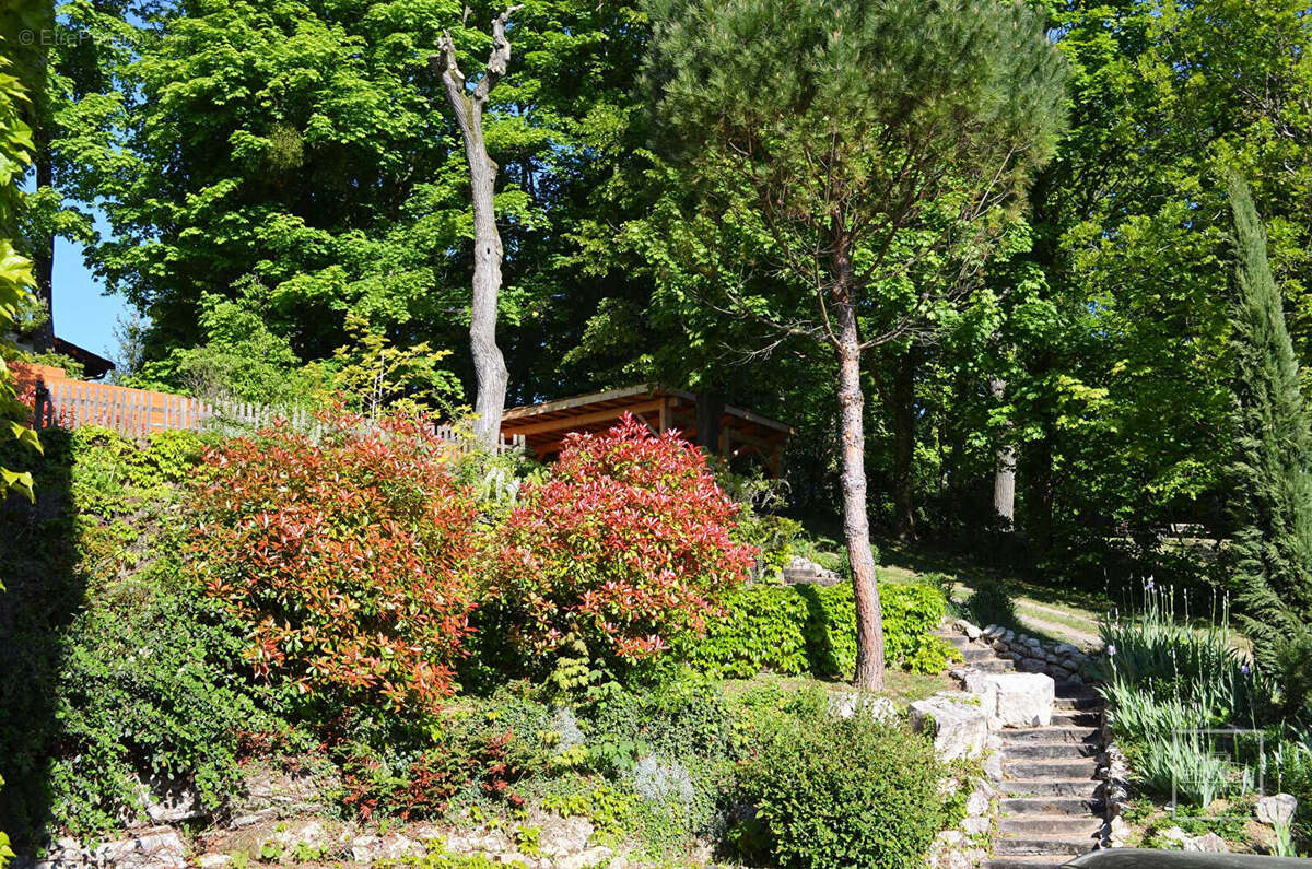 Maison à SAINT-DIDIER-AU-MONT-D&#039;OR