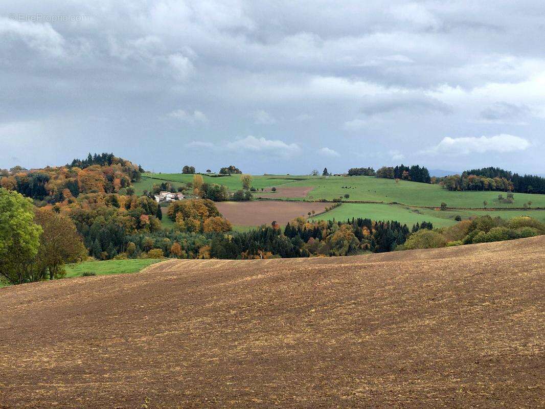 Maison à SAUXILLANGES