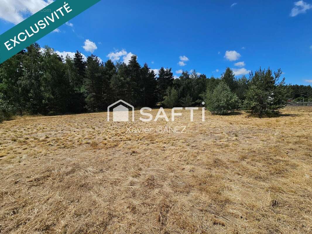 Terrain 6120 m² à Saint-Chely-D'apcher  - photo 5
