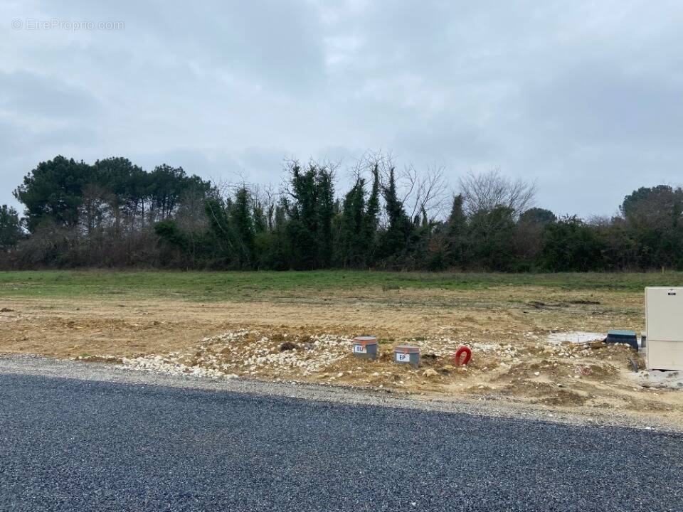 Terrain à SAINT-SELVE