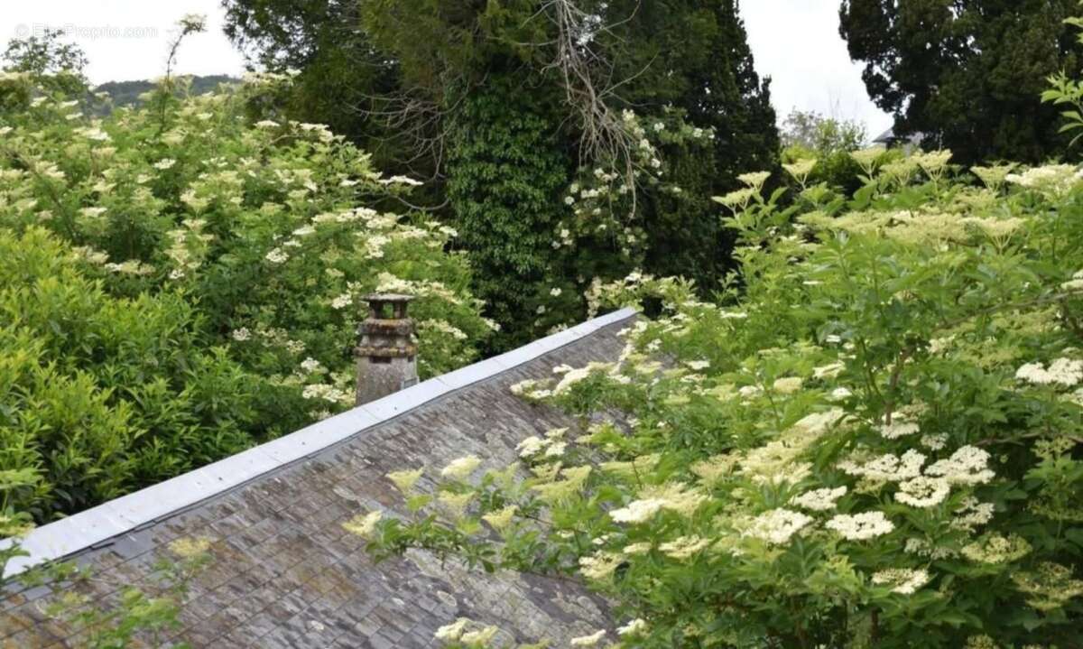 Trop tard pour cette Maison de caractère - photo 3