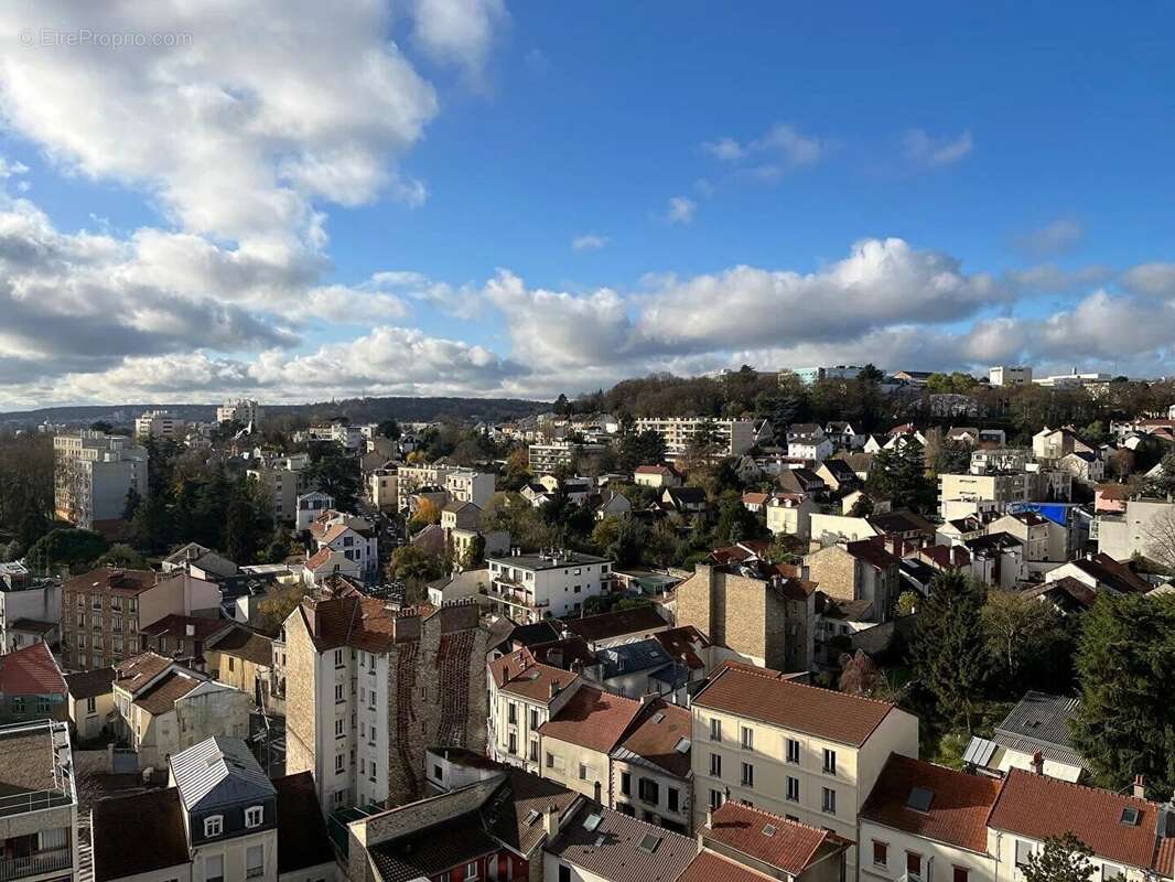 Appartement Fontenay Aux Roses 5 pièce(s) 100.47 m2 avec Balcons, Box et Cave - photo 12