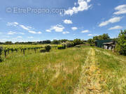 Terrain à FARGUES