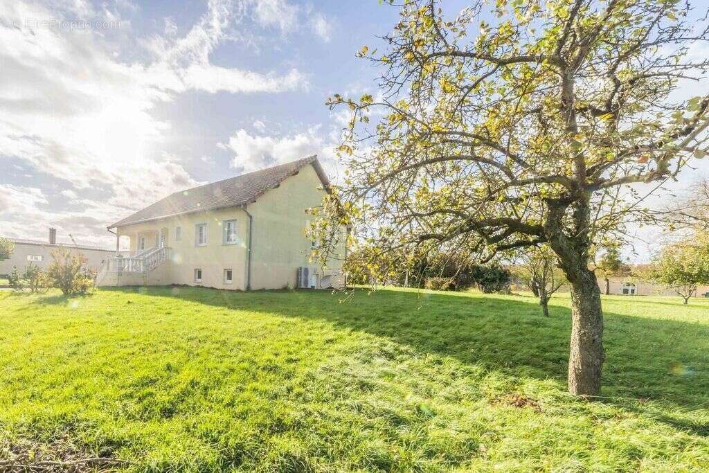 Maison à FRANCALTROFF