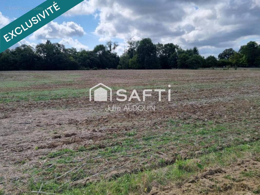 Photo 1 - Terrain à THORS