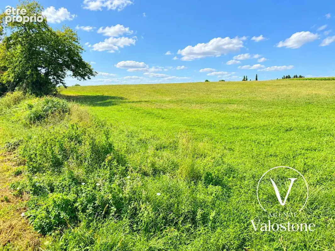 Terrain 5 710 m² à vendre à Monsegur (40700) - photo 4