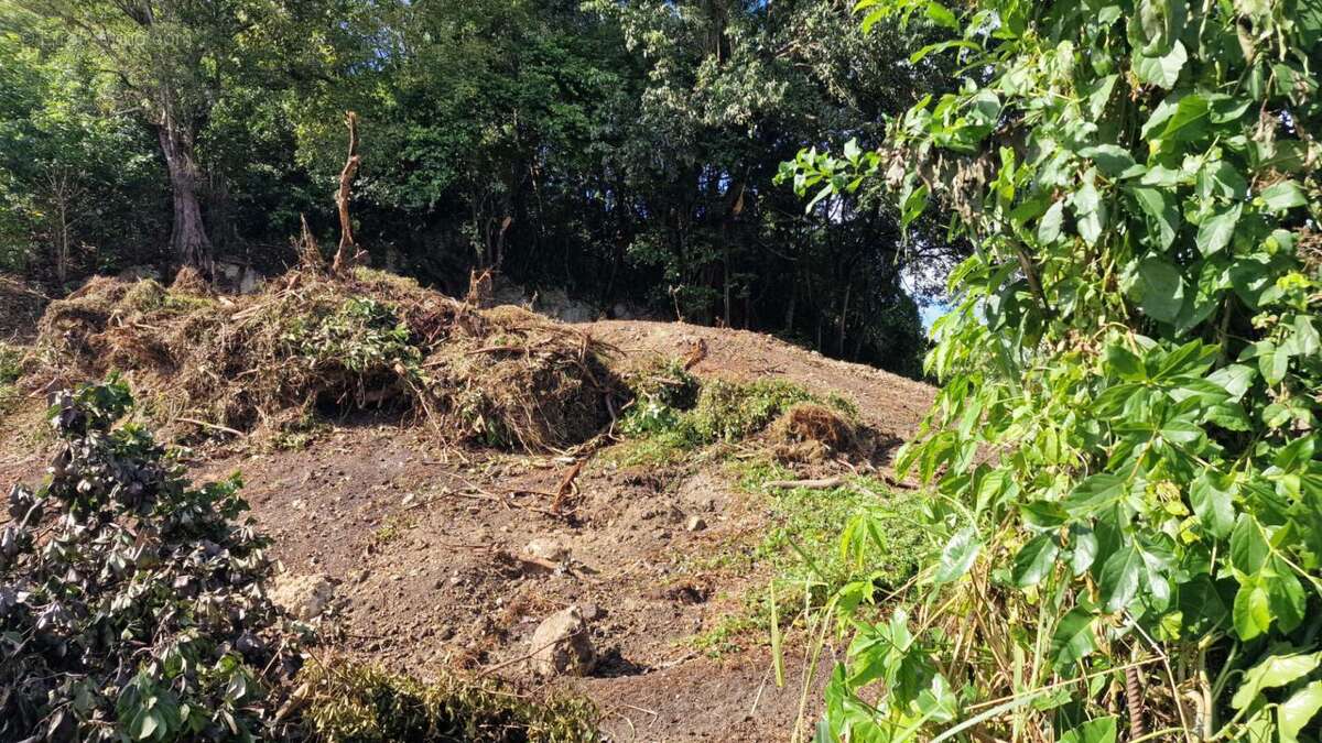 Terrain à LES ABYMES