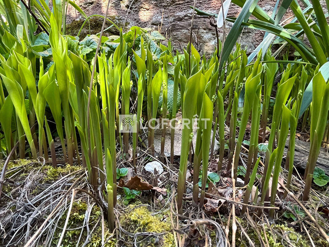 Maison à SAINT-CHRISTOPHE-VALLON