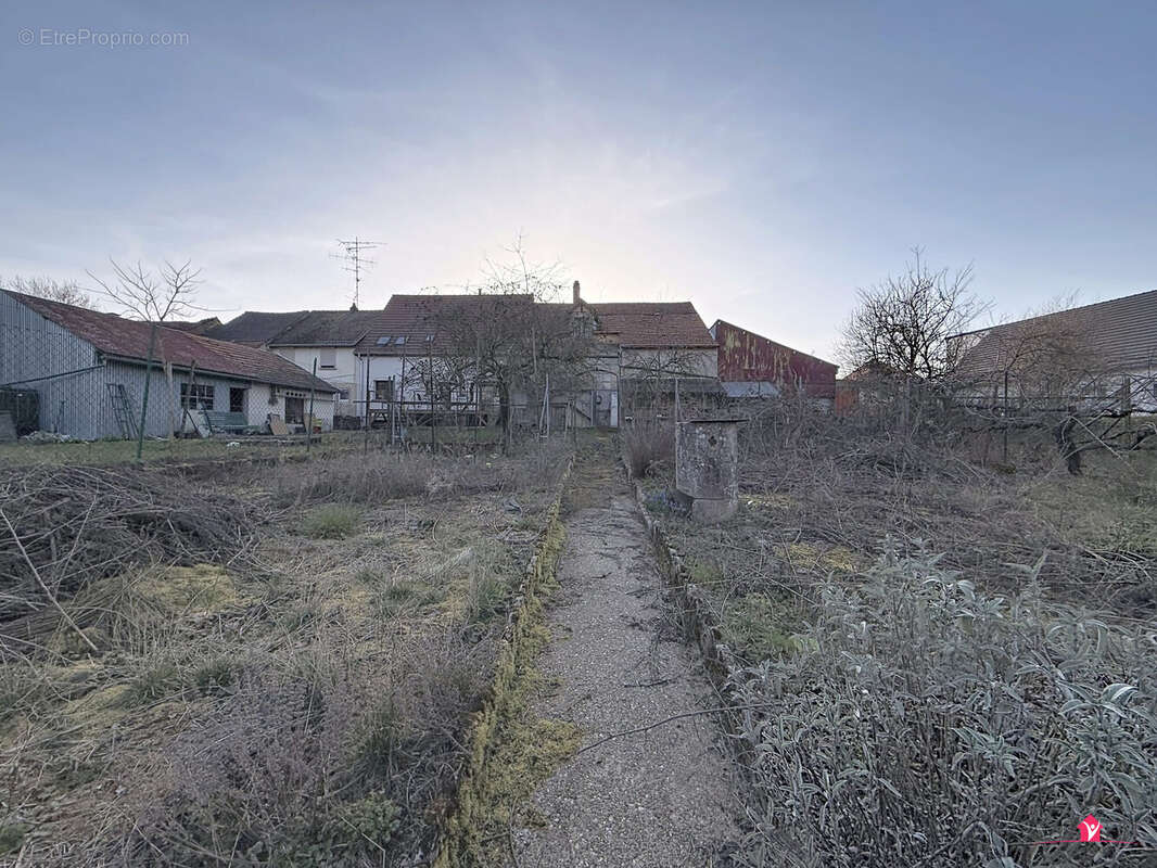 #DRULINGEN - Maison à DRULINGEN