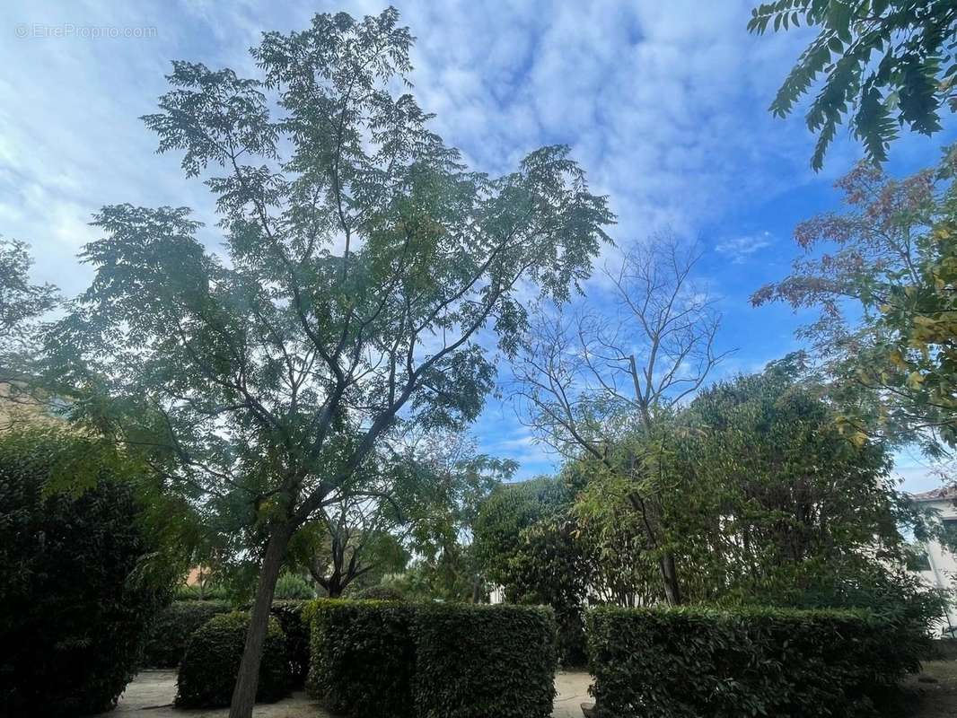 Appartement à LE MUY