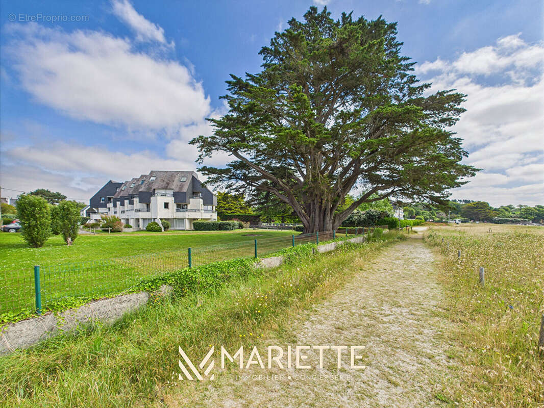 Appartement à LA FORET-FOUESNANT