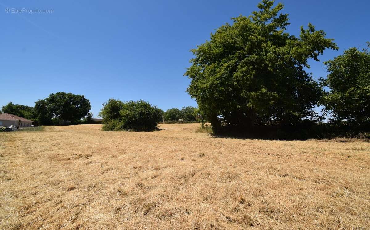 À VENDRE - Terrain constructible à ESPINASSE-VOZELLE - photo 3