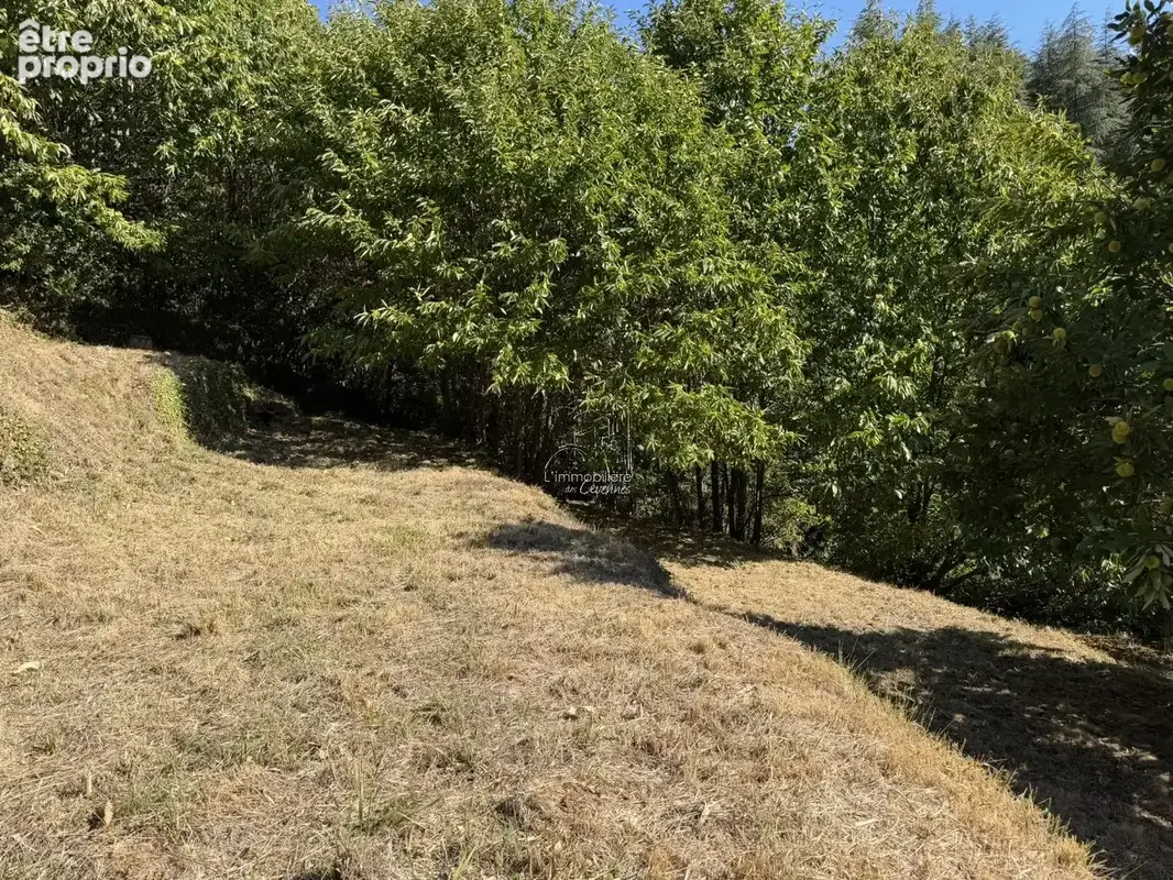 Terrain a batir - vue sur le village de valleraugue - photo 9