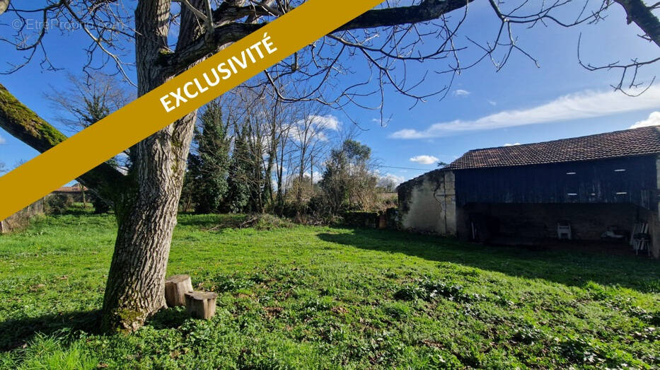 Terrain à SAINT-MACAIRE