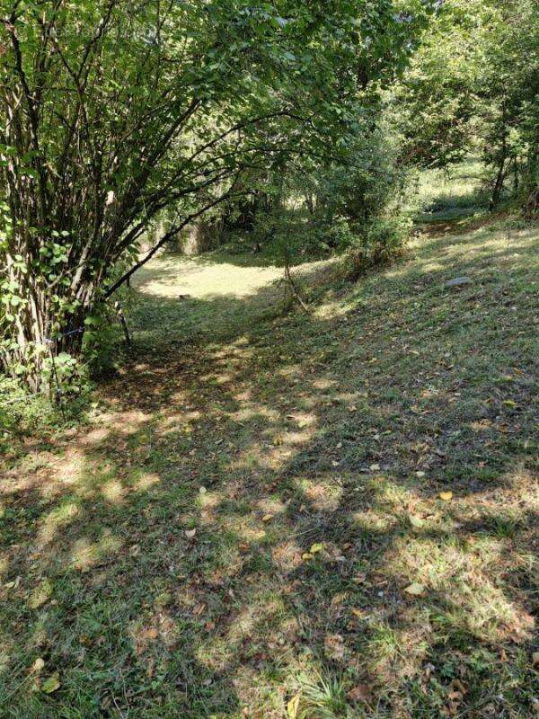 Terrain à LES CABANNES