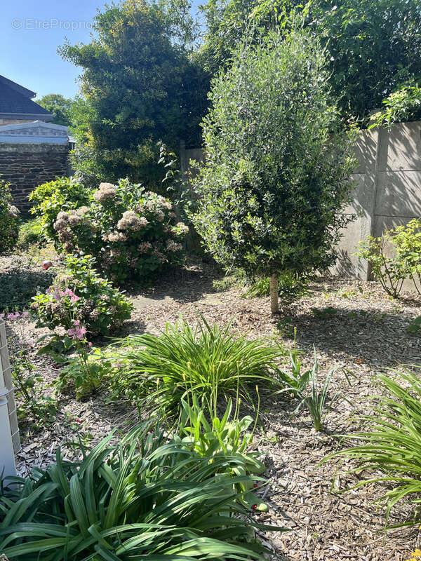 Grande maison en pierre - photo 9