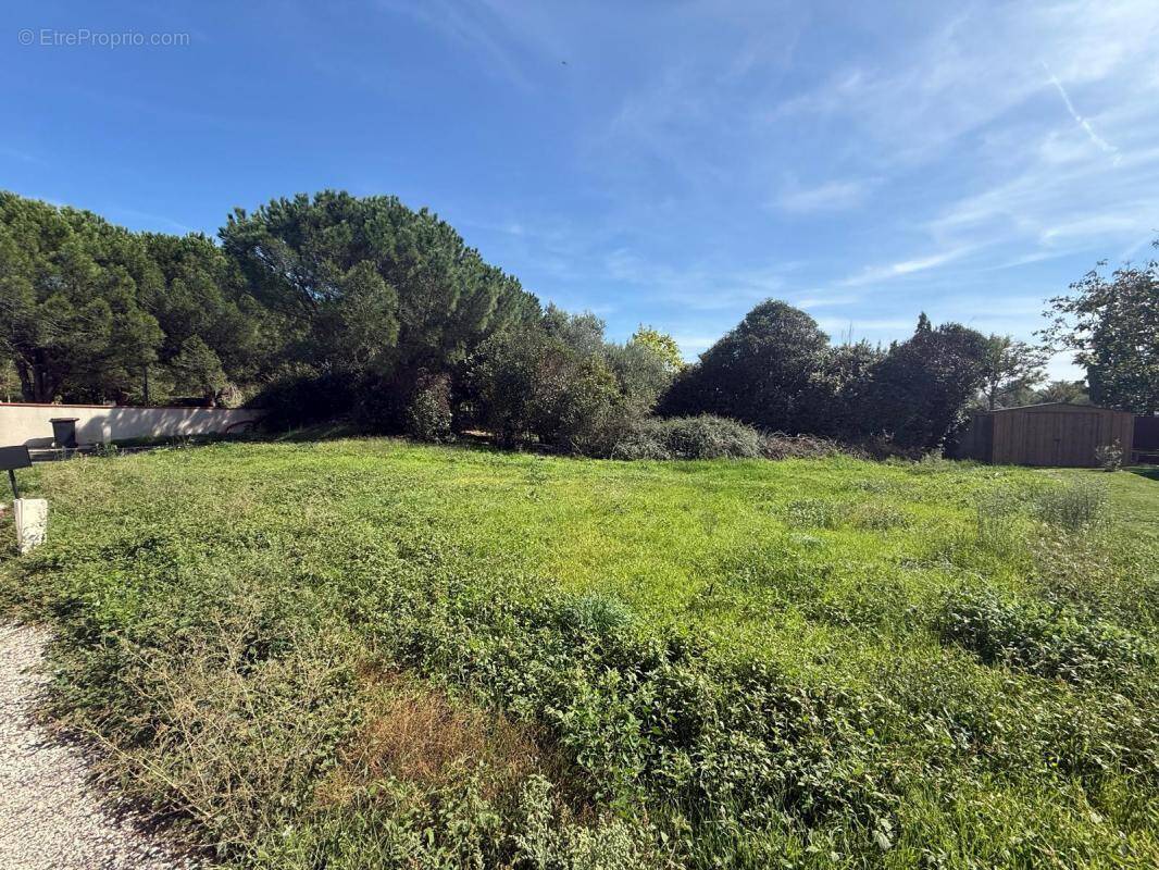 Terrain à TOURNEFEUILLE