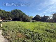 Terrain à TOURNEFEUILLE