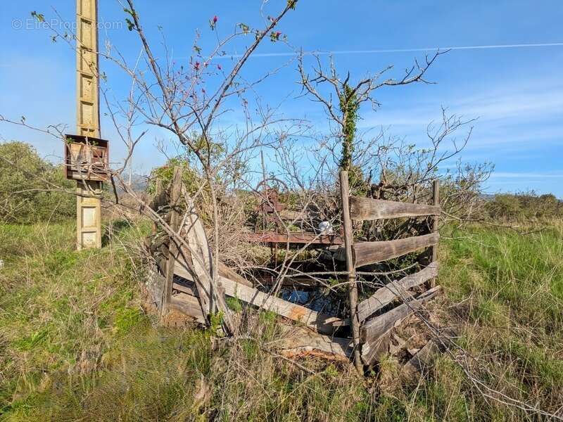 Terrain à CESSERAS
