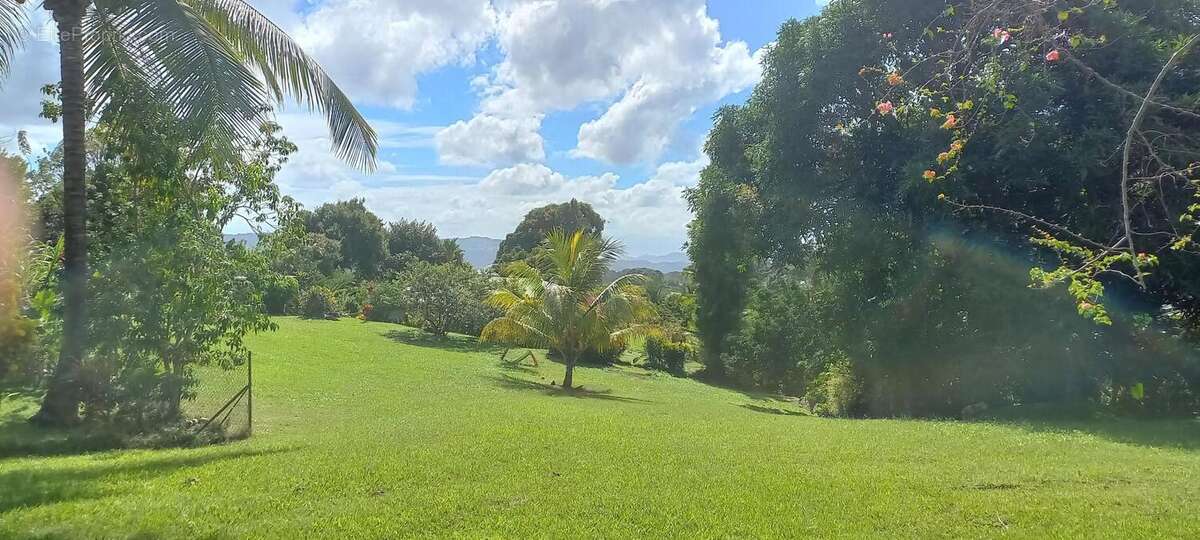 Photo 2 - Maison à SAINT-JOSEPH