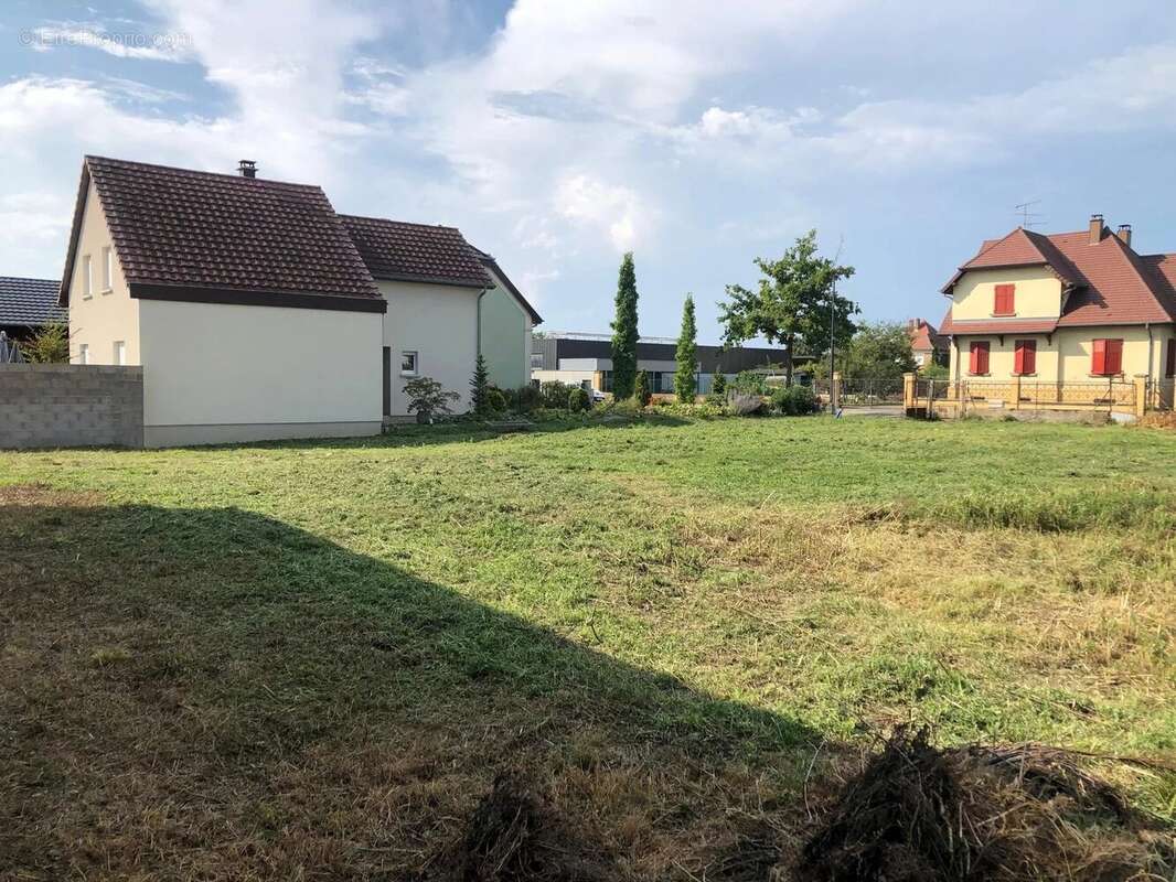 Terrain à BANTZENHEIM